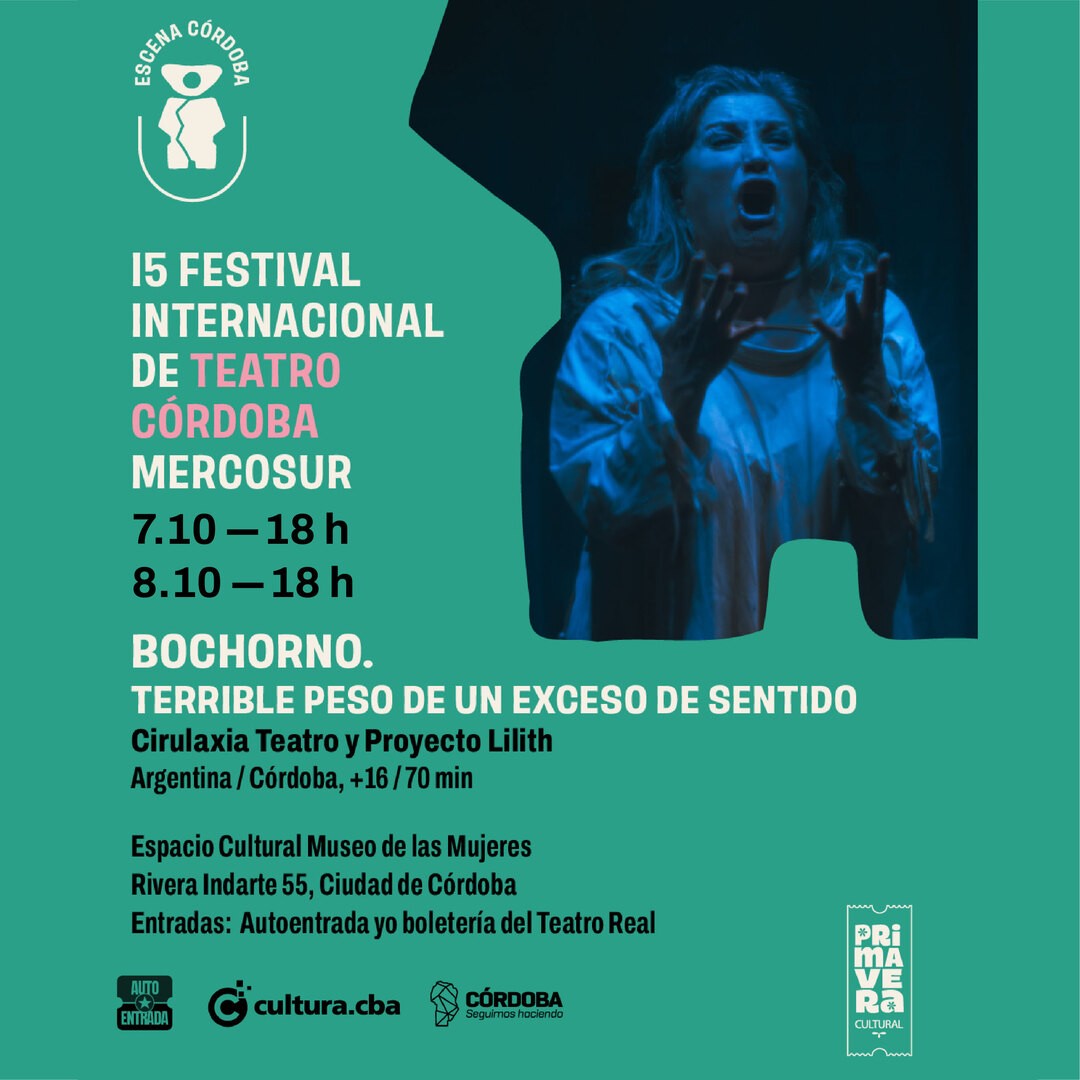 BOCHORNO, TERRIBLE PESO DE UN EXCESO DE SENTIDO - XV FIT